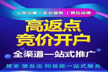 行业领先企业的sem竞价策略：成功案例剖析